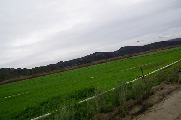 DSC08087
