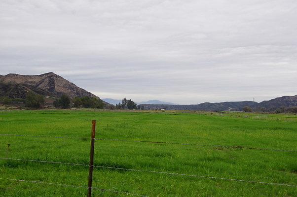 DSC08074