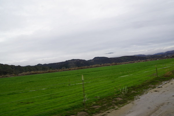 DSC08096