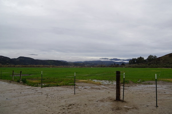 DSC08101