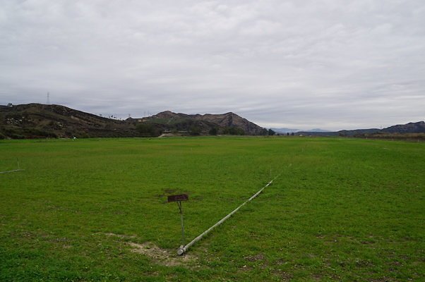 DSC08059