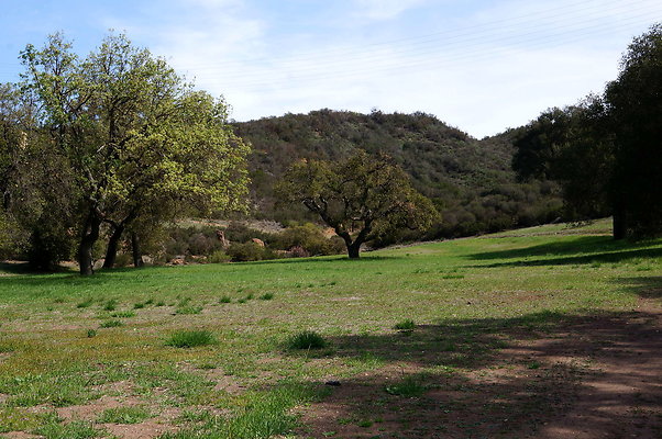 DSC00986