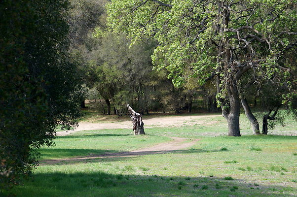 DSC00998