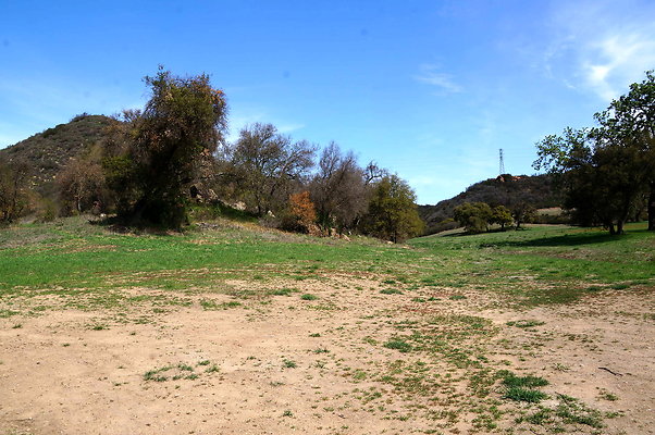 DSC01005