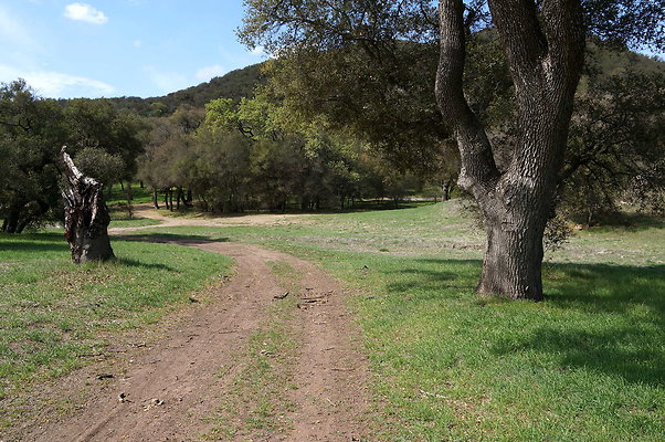 DSC00978