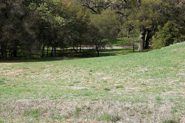 DSC01004