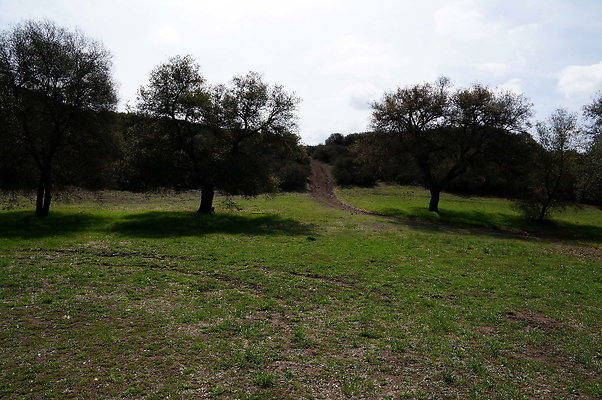 DSC00975
