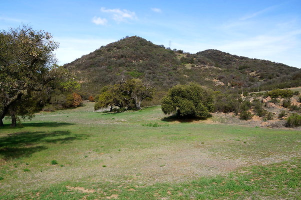 DSC00997