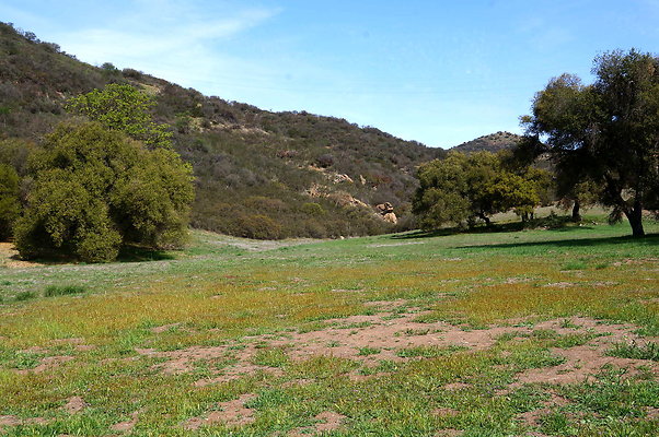 DSC00985