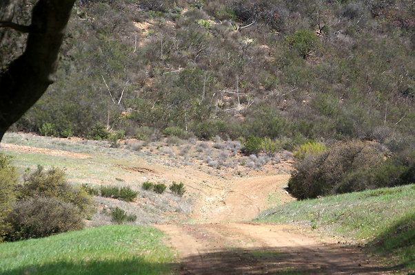 DSC00991