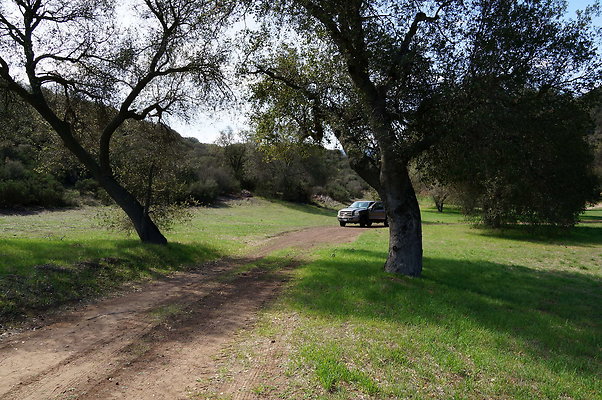 DSC00995