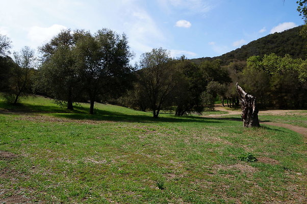 DSC00976