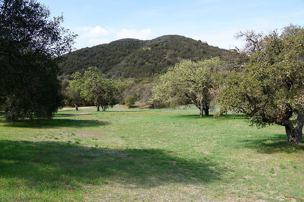DSC00996