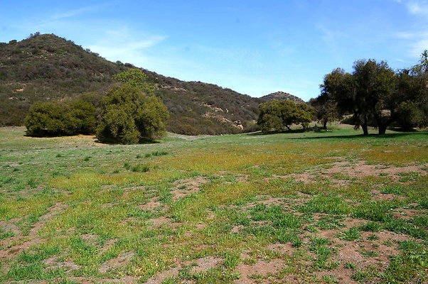 DSC00972