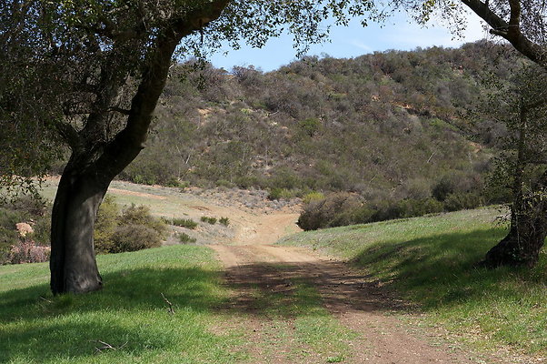 DSC00990