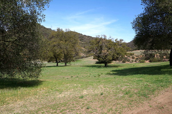 DSC00988