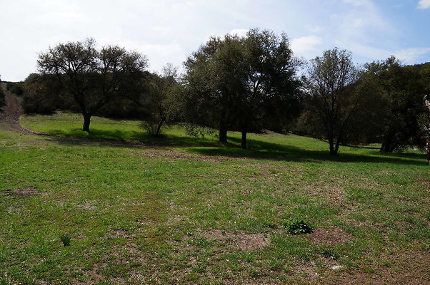 DSC00977