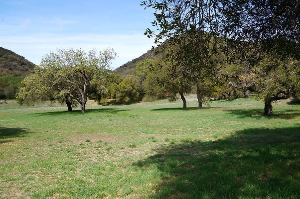 DSC00993