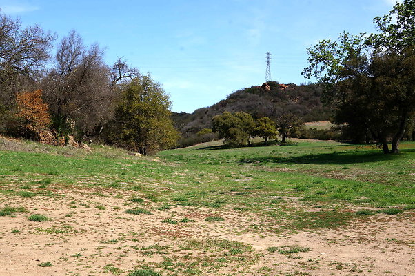 DSC01007