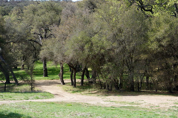 DSC01003
