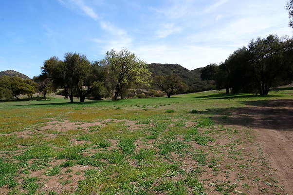 Ventura.Farms.Cabin.Meadow