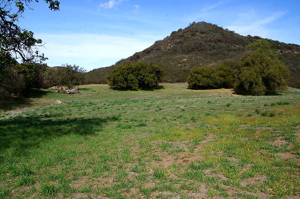 DSC00971