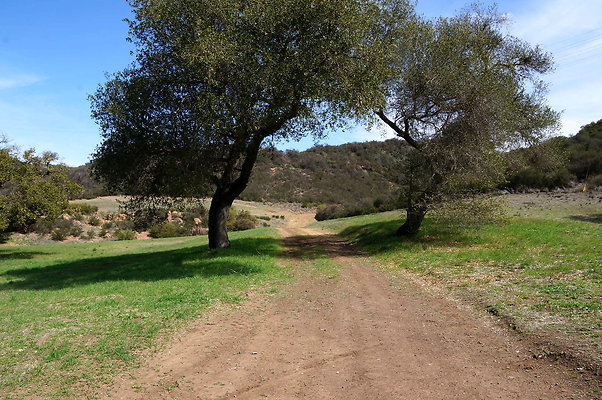DSC00989