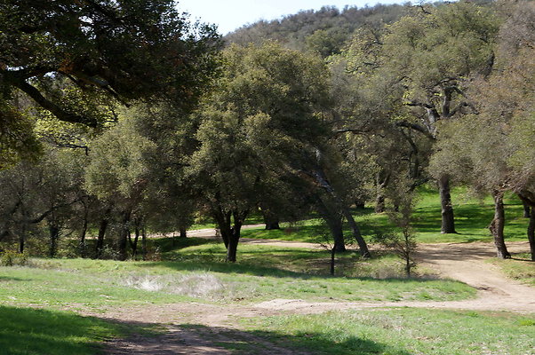 DSC01002