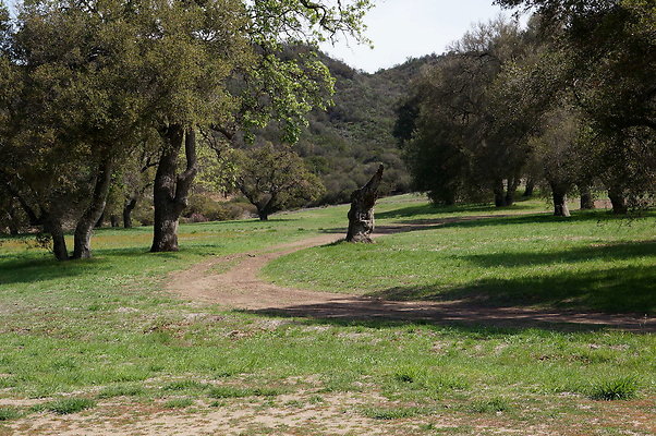 DSC01009