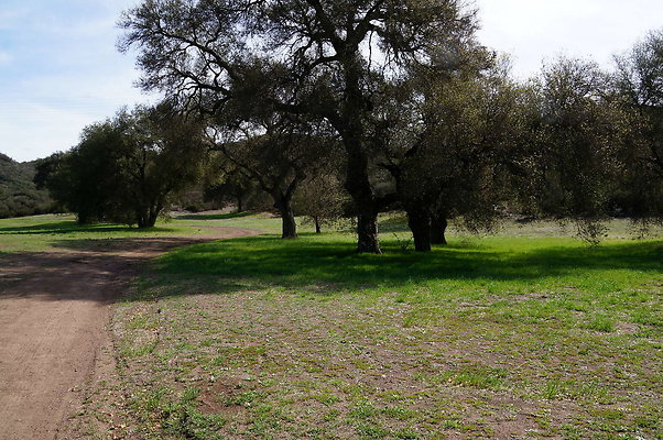 DSC00974