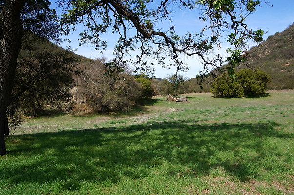 DSC00979