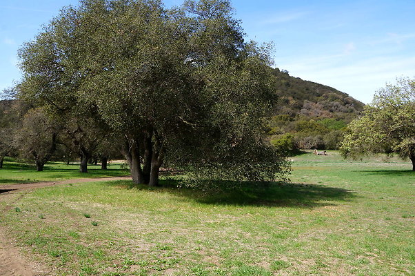 DSC00992