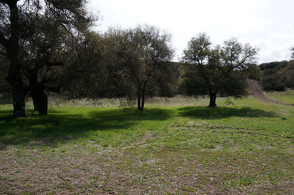 DSC00982