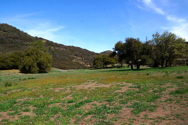 DSC00980