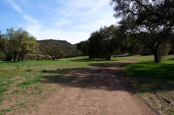 DSC00981