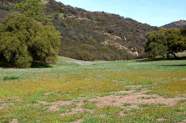 DSC00983