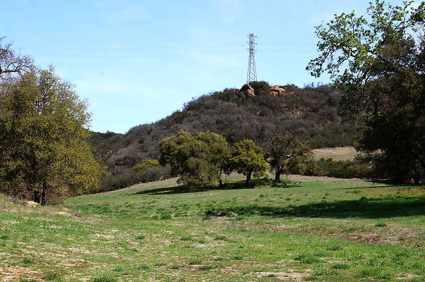 DSC01008