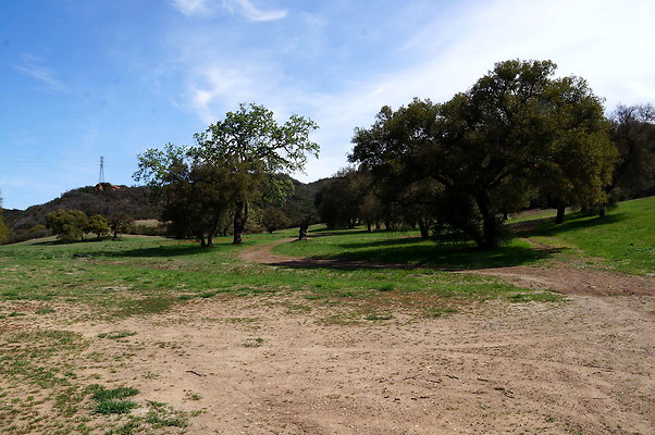 DSC01006