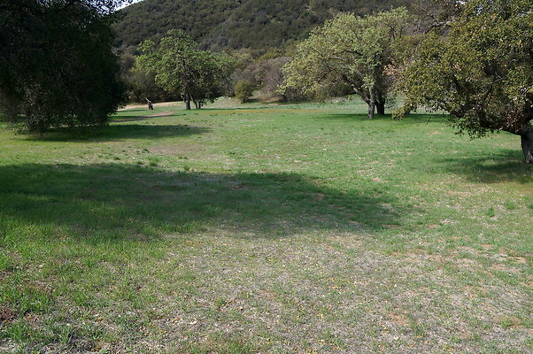 DSC00999