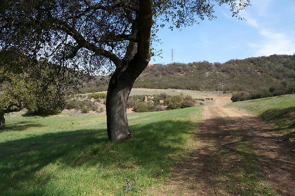 DSC00994