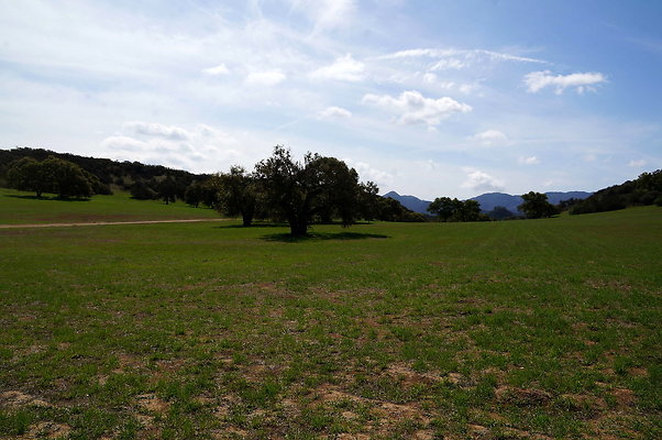 Ventura.Farms.Upper.Mesa