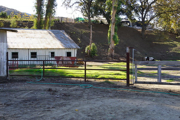 DSC06892