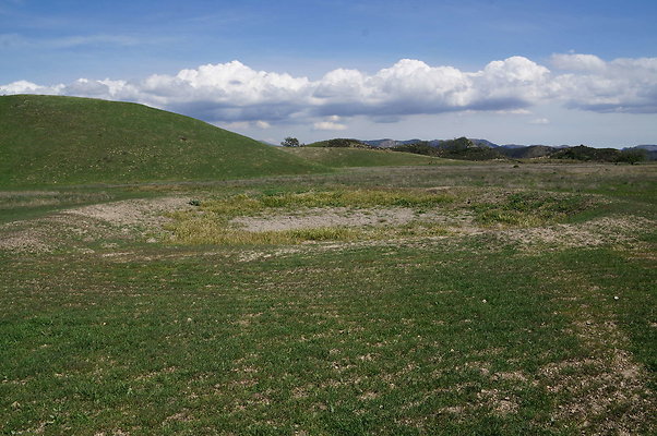 DSC01233