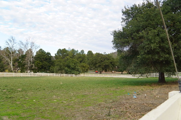DSC07077