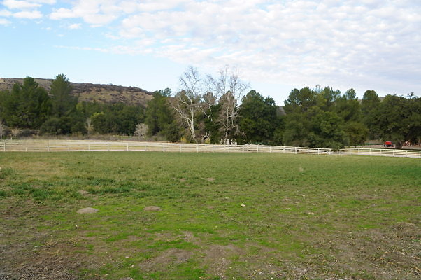 DSC07076