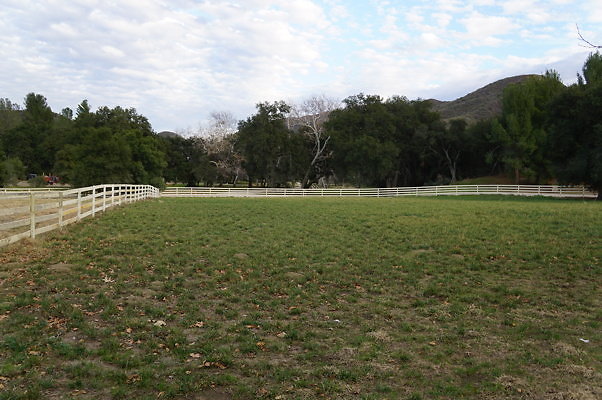 DSC07100