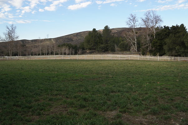 DSC07067