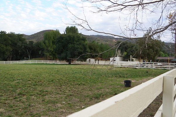 DSC07101