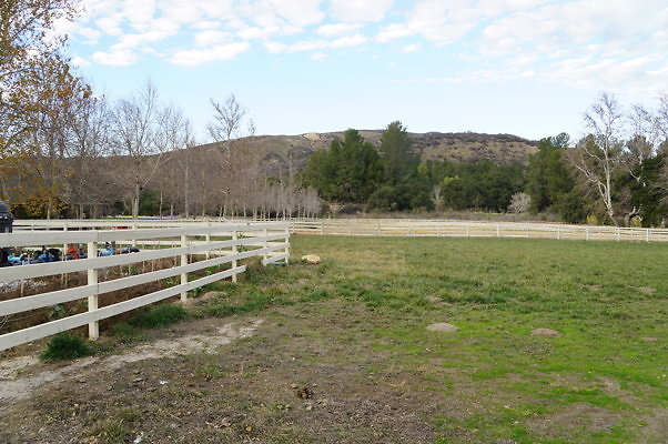 DSC07075