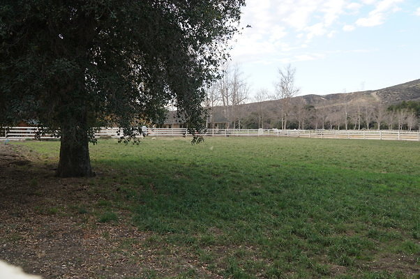 DSC07066